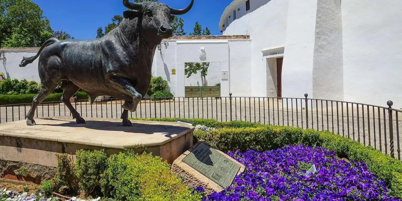 Seville: private Ronda & Setenil tour — operator tour photograph