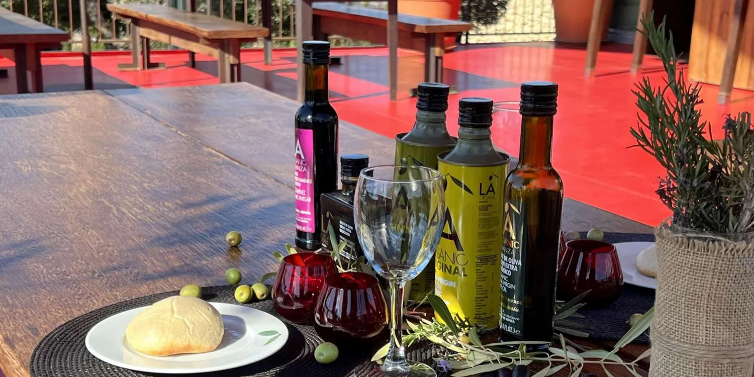 Ronda: Almazara olive oil tour & tasting — operator tour photograph